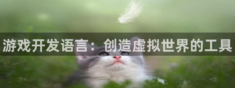 沐鸣娱乐2多彩平台