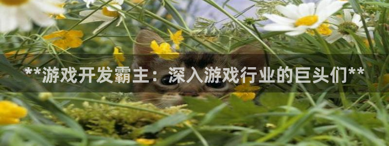 沐鸣娱乐2登录平台官网