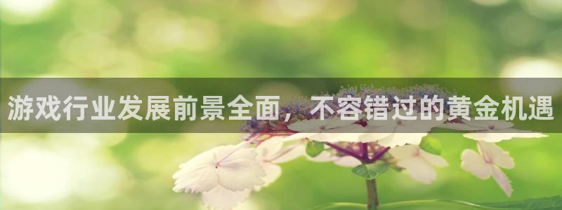 沐鸣2主管