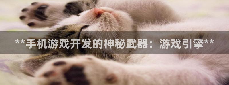 沐鸣2手机网页版