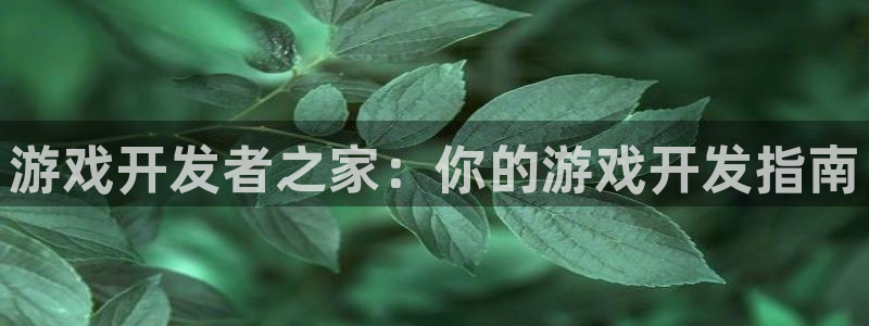 沐鸣2多少年