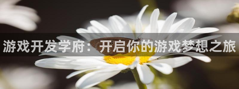 沐鸣2平台代理注册