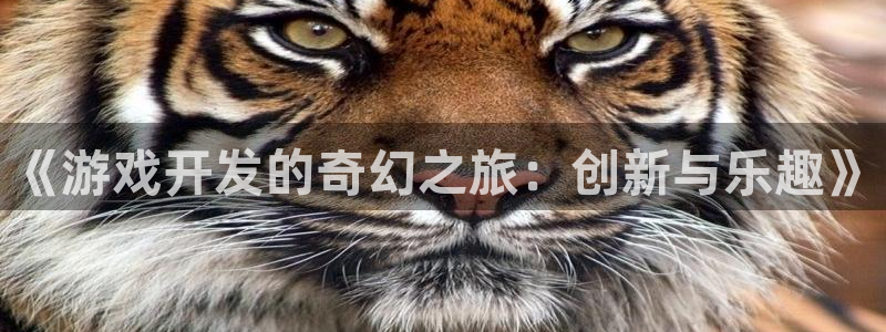 沐鸣2平台主管代理：《游戏开发的奇幻之旅：创新与乐趣》
