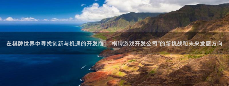 沐鸣2官方：在棋牌世界中寻找创新与机遇的开发商：\