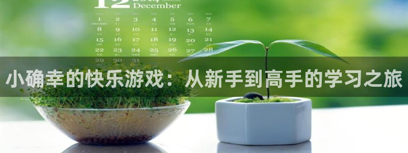 沐鸣娱乐2注册官网：小确幸的快乐游戏：从新手到高手的学习之旅