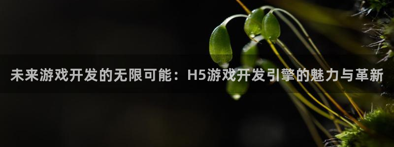 沐鸣2注册登入：未来游戏开发的无限可能：H5游戏开发引擎的魅力与革新