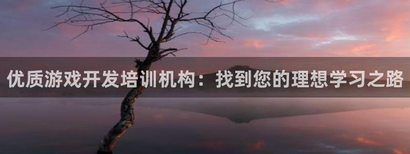 沐鸣2撤35994还和：优质游戏开发培训机构：找到您的理想学习之路
