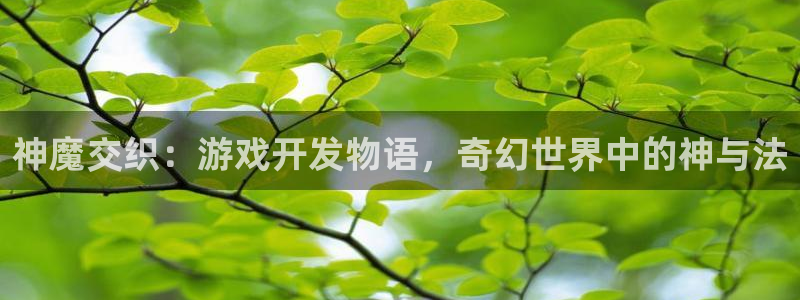 沐鸣2联盟