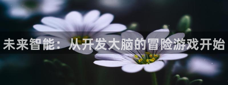 沐鸣2登录地址