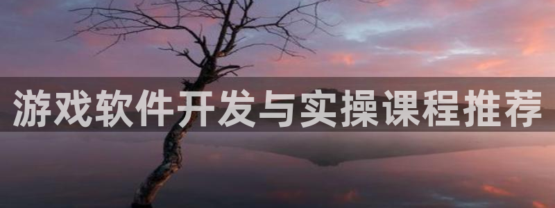 沐鸣2app：游戏软件开发与实操课程推荐