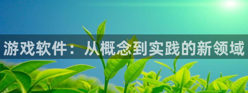 沐鸣娱乐2注册账号：游戏软件：从概念到实践的新领域
