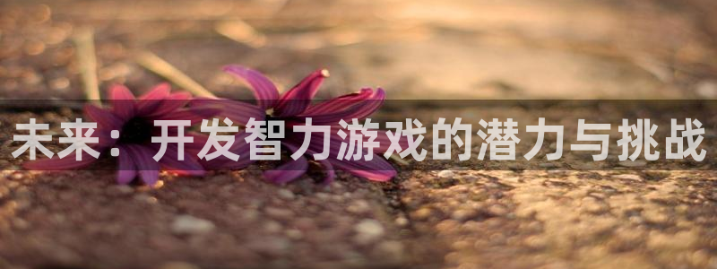 沐鸣2官网：未来：开发智力游戏的潜力与挑战