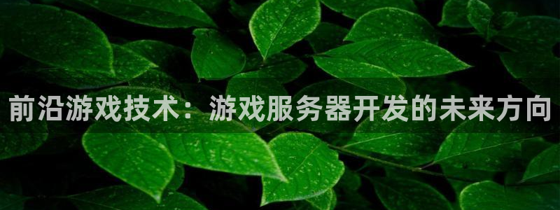 沐鸣2平台负责人：前沿游戏技术：游戏服务器开发的未来方向