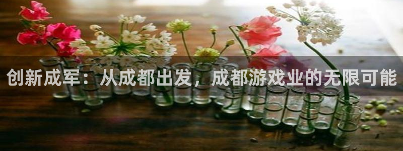 沐鸣2注册首页：创新成军：从成都出发，成都游戏业的无限可能