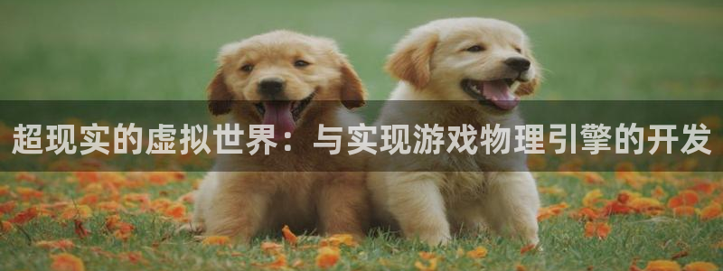 沐鸣2登陆扣27337：超现实的虚拟世界：与实现游戏物理引擎的开发