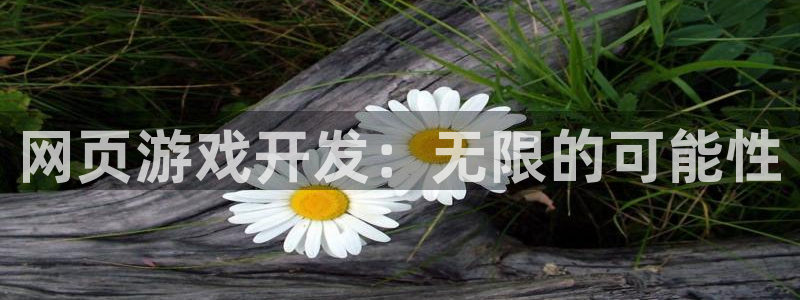 沐鸣娱乐2平台：网页游戏开发：无限的可能性