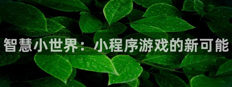 沐鸣娱乐2黑客户吗：智慧小世界：小程序游戏的新可能