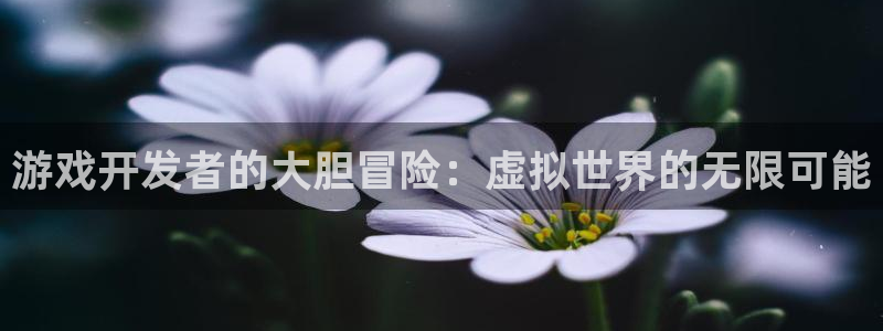 沐鸣2票35994度：游戏开发者的大胆冒险：虚拟世界的无限可能