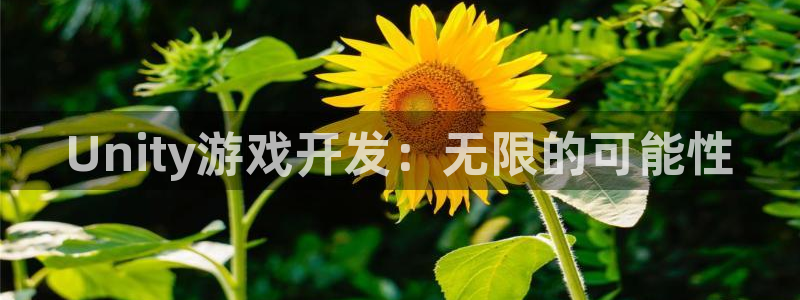 沐鸣2代理求27337