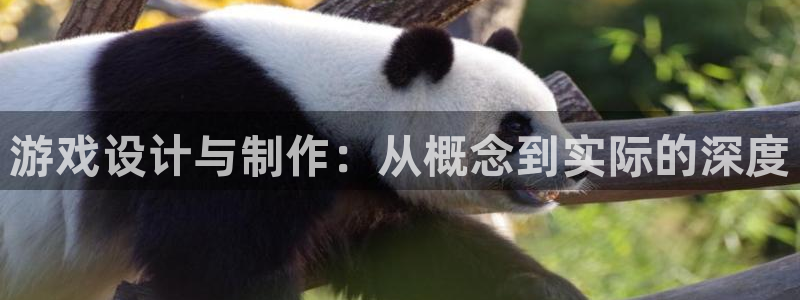 沐鸣2平台负责人：游戏设计与制作：从概念到实际的深度