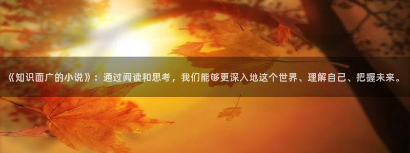 番薯小说电脑版下载：《知识面广的小说》：通过阅读和思考，我们能够更深入地这个世界、理解自己、把握未来。
