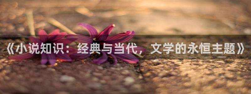 番薯免费小说官网：《小说知识：经典与当代，文学的永恒主题》