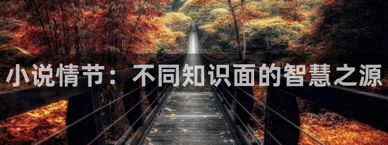 番薯小说阅读：小说情节：不同知识面的智慧之源