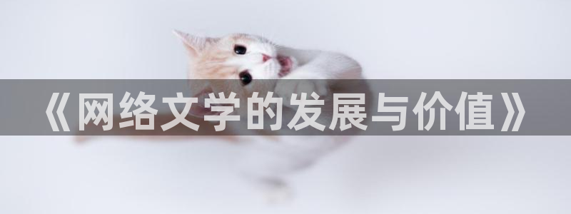 番薯小说网页版网址：《网络文学的发展与价值》