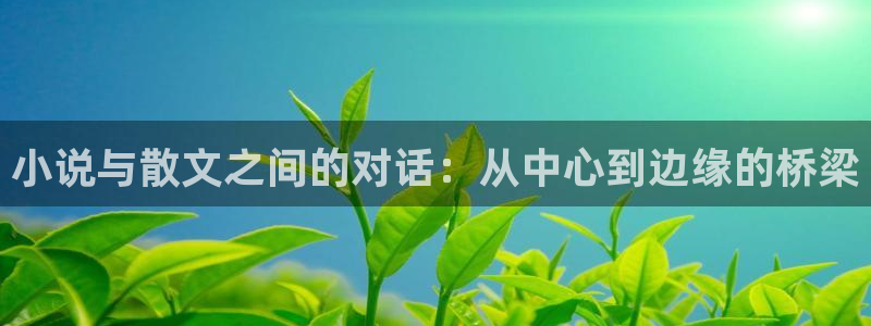 番薯小说大全免费阅读：小说与散文之间的对话：从中心到边缘的桥梁
