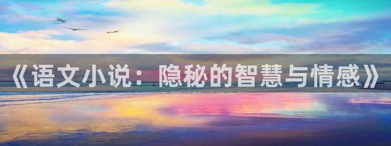 番薯小说app：《语文小说：隐秘的智慧与情感》