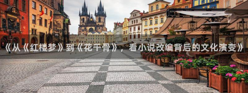 番薯小说电脑版：《从《红楼梦》到《花千骨》，看小说改编背后的文化演变》